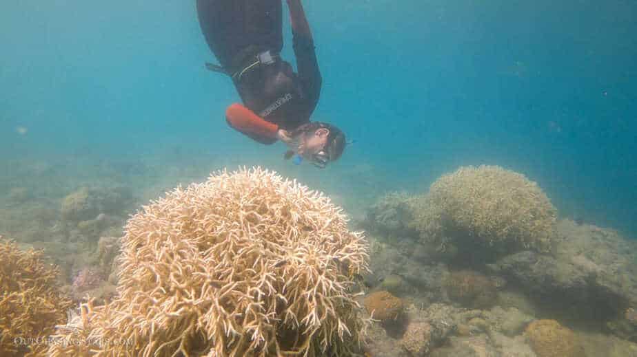 Amy snorkeling upside down with a big coral head in Butterfly Bay.