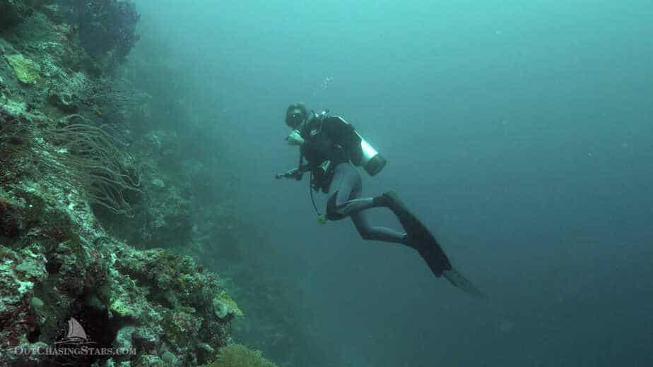A diver on the wall of coral at Hoga Island in Wakatobi Indonesia.